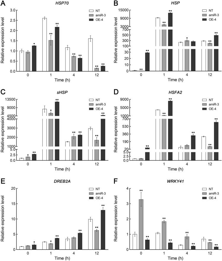 https://cdn.ncbi.nlm.nih.gov/pmc/blobs/7f7a/6026497/b277912e5818/41438_2018_37_Fig7_HTML.jpg