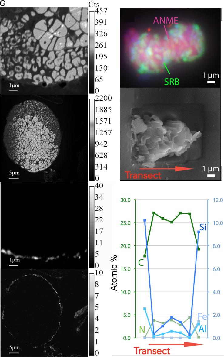 https://cdn.ncbi.nlm.nih.gov/pmc/blobs/7f7e/10743459/dff49461e756/pnas.2302156120fig02.jpg