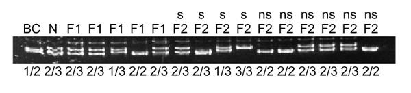 https://cdn.ncbi.nlm.nih.gov/pmc/blobs/7f80/15016/d76489833815/gb-2000-1-2-research0004-4.jpg