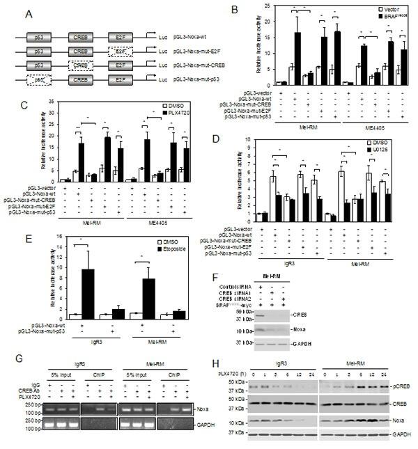 https://cdn.ncbi.nlm.nih.gov/pmc/blobs/7f80/4294377/ca90f44c8c13/oncotarget-05-11237-g003.jpg