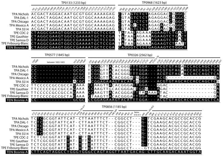 https://cdn.ncbi.nlm.nih.gov/pmc/blobs/7f81/4222731/5d7212f8bdc8/pntd.0003261.g003.jpg