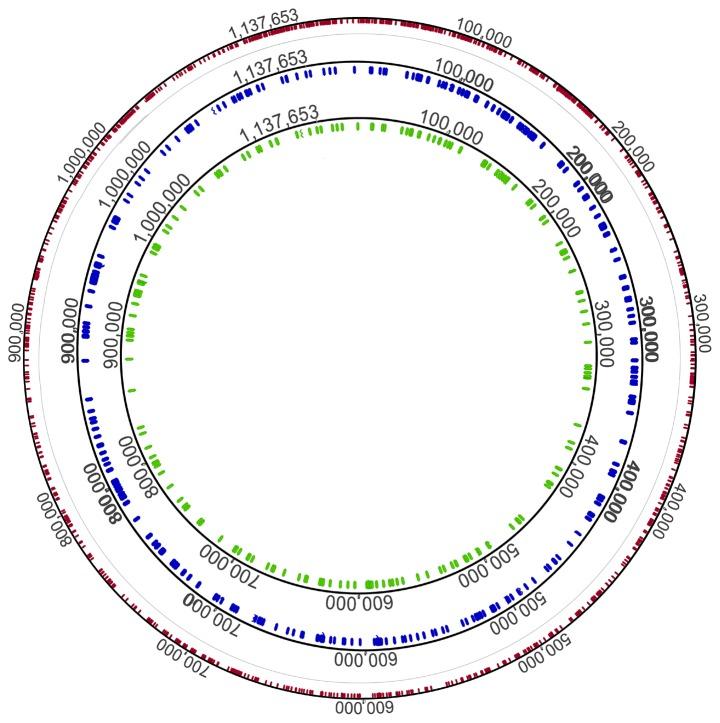 https://cdn.ncbi.nlm.nih.gov/pmc/blobs/7f81/4222731/78dfae5c3e35/pntd.0003261.g002.jpg