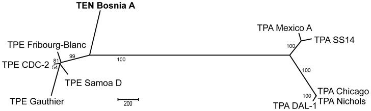 https://cdn.ncbi.nlm.nih.gov/pmc/blobs/7f81/4222731/da7586413730/pntd.0003261.g001.jpg