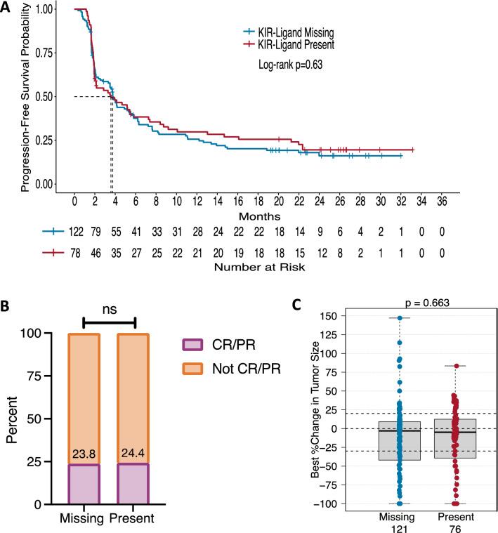 https://cdn.ncbi.nlm.nih.gov/pmc/blobs/7f82/10992339/3f3ac5e8354c/262_2023_3383_Fig1_HTML.jpg
