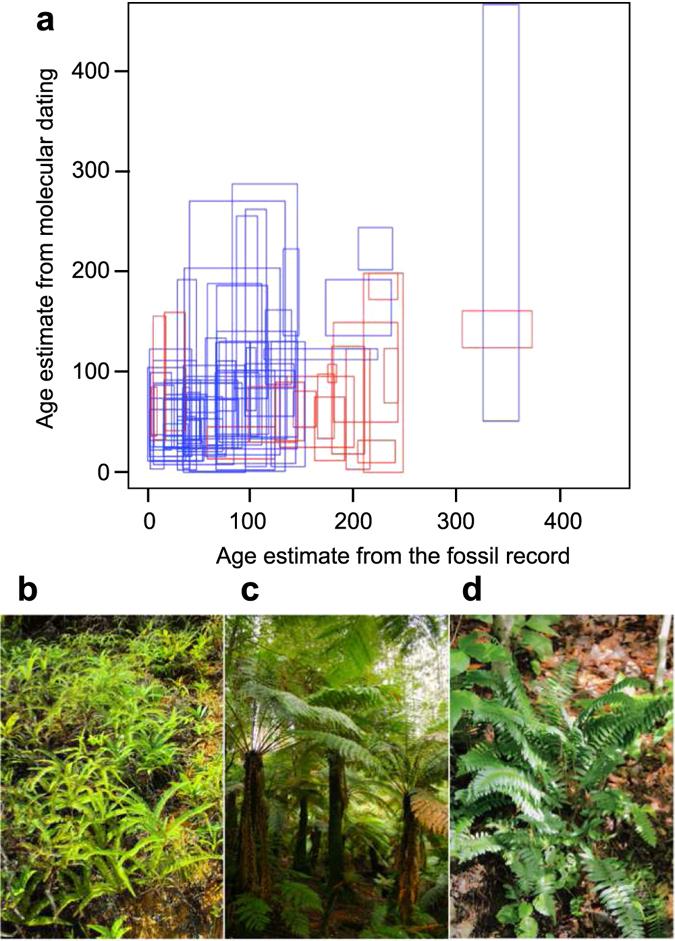 https://cdn.ncbi.nlm.nih.gov/pmc/blobs/7f83/5500532/8cd085b56fa5/41598_2017_5263_Fig3_HTML.jpg