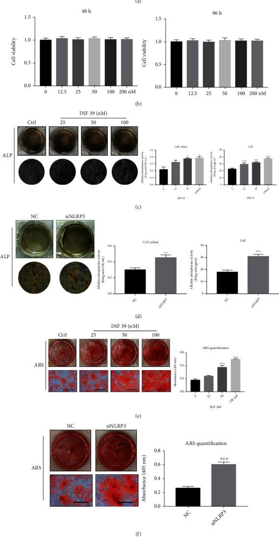 https://cdn.ncbi.nlm.nih.gov/pmc/blobs/7f85/9300331/727878bf344a/BMRI2022-7250578.001.jpg