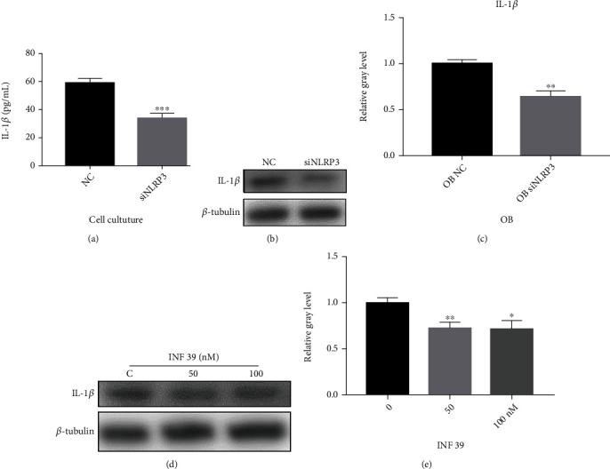 https://cdn.ncbi.nlm.nih.gov/pmc/blobs/7f85/9300331/85483b0dbc5e/BMRI2022-7250578.003.jpg