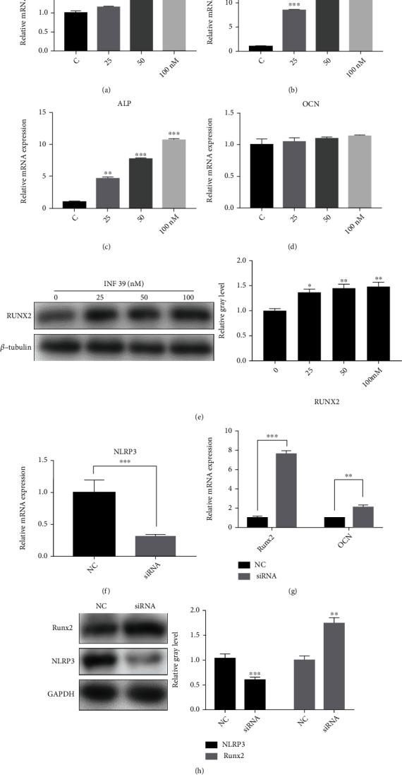 https://cdn.ncbi.nlm.nih.gov/pmc/blobs/7f85/9300331/b4a508c5c682/BMRI2022-7250578.002.jpg
