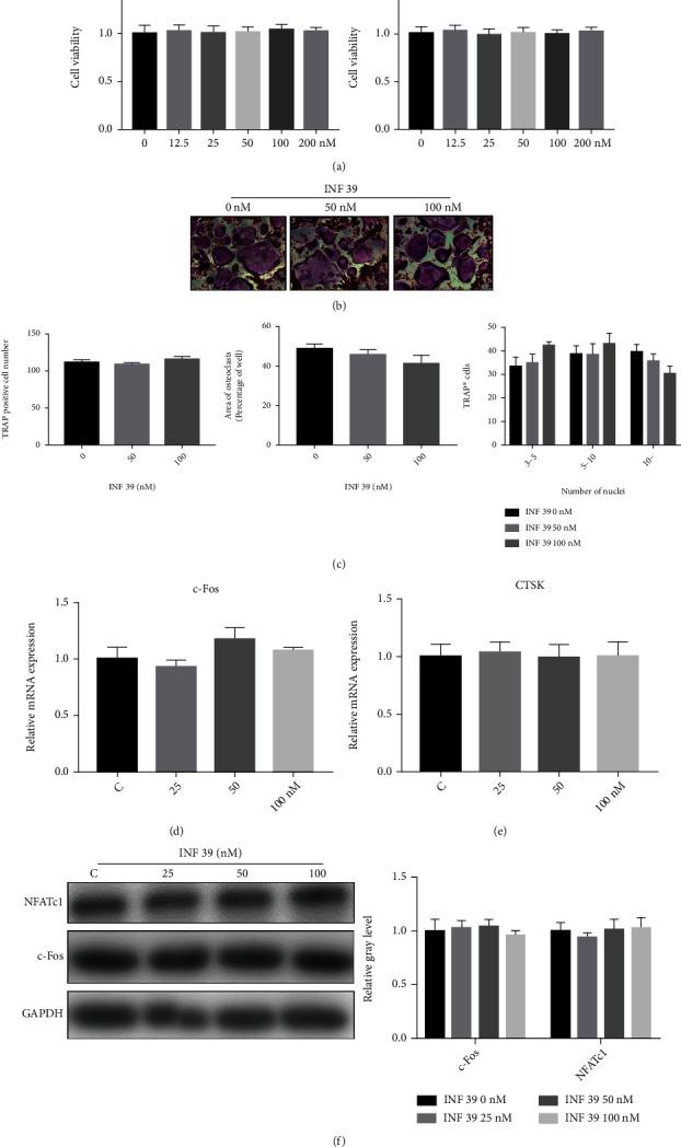 https://cdn.ncbi.nlm.nih.gov/pmc/blobs/7f85/9300331/cd0598e89afe/BMRI2022-7250578.004.jpg