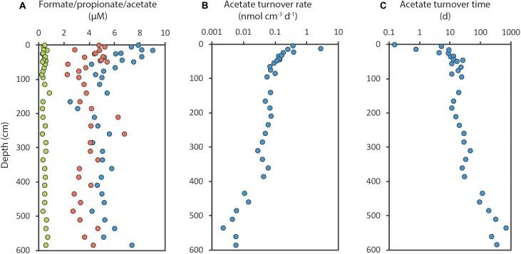 https://cdn.ncbi.nlm.nih.gov/pmc/blobs/7f86/6492693/cad8eb735c37/fmicb-10-00849-g006.jpg