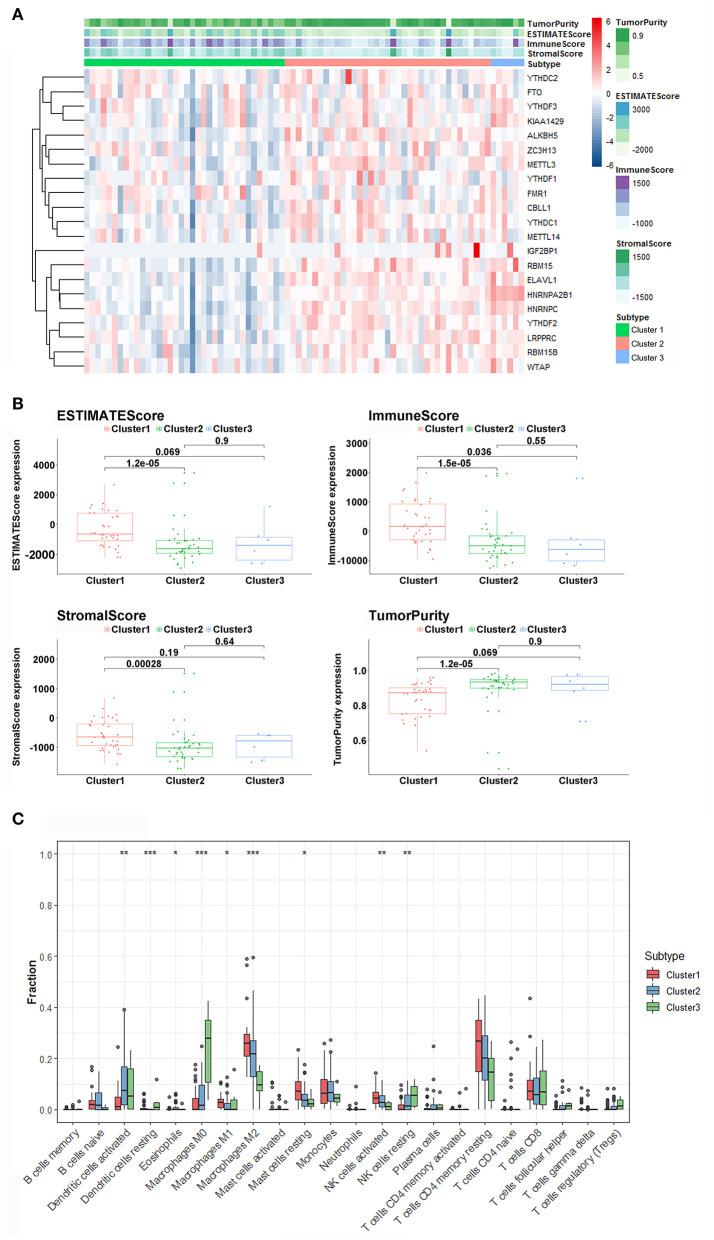 https://cdn.ncbi.nlm.nih.gov/pmc/blobs/7f88/7966528/89c3796008be/fimmu-12-637933-g0004.jpg