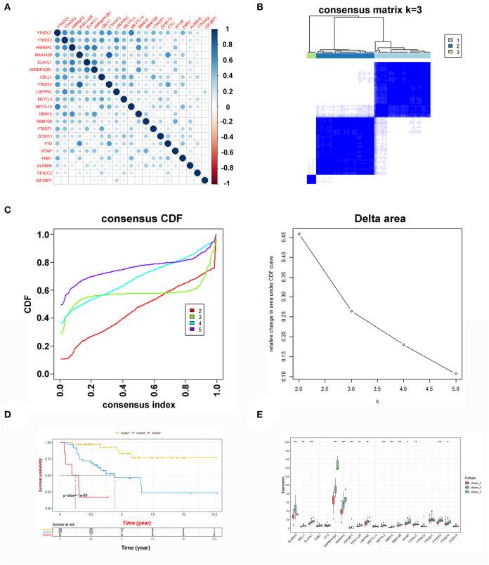 https://cdn.ncbi.nlm.nih.gov/pmc/blobs/7f88/7966528/8c41f37d2d99/fimmu-12-637933-g0002.jpg
