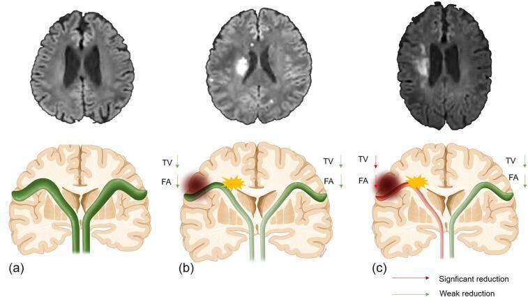 https://cdn.ncbi.nlm.nih.gov/pmc/blobs/7f88/9251599/80b761bc7e24/gr2.jpg