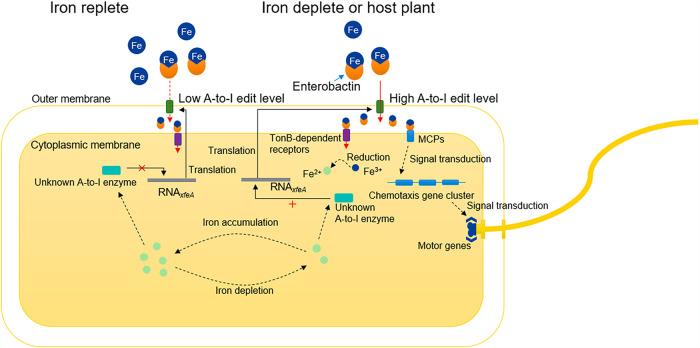 https://cdn.ncbi.nlm.nih.gov/pmc/blobs/7f8c/8549721/9886f4e16f11/spectrum.01571-21-f007.jpg