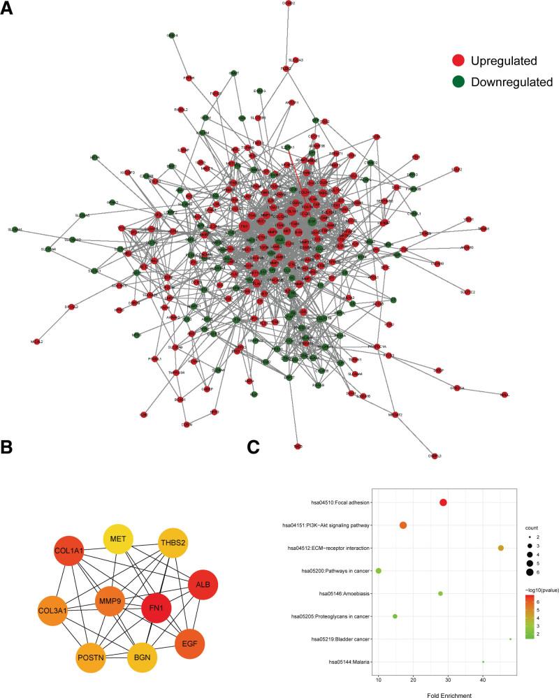 https://cdn.ncbi.nlm.nih.gov/pmc/blobs/7f92/10578750/0e2920e56fd8/medi-102-e34656-g004.jpg