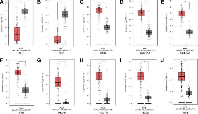 https://cdn.ncbi.nlm.nih.gov/pmc/blobs/7f92/10578750/5dda973612cb/medi-102-e34656-g005.jpg