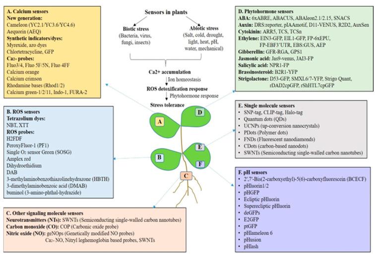 https://cdn.ncbi.nlm.nih.gov/pmc/blobs/7f92/11174810/a295858c02f3/sensors-24-03261-g001.jpg