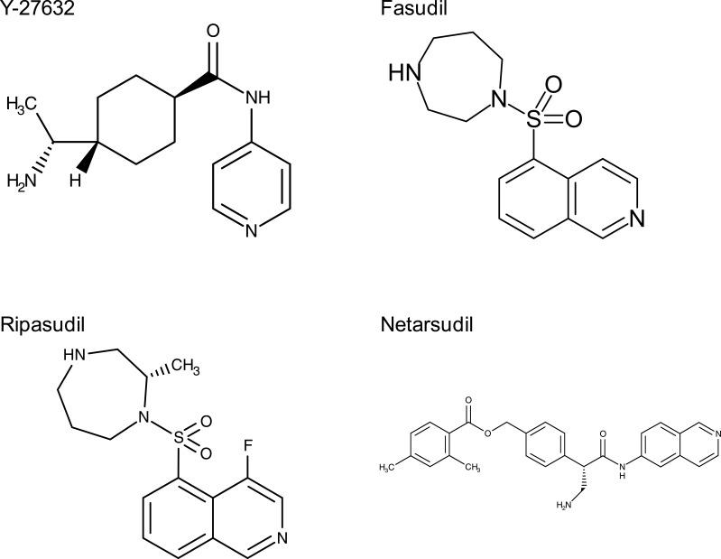 https://cdn.ncbi.nlm.nih.gov/pmc/blobs/7f93/10804875/932f610de2ee/DDDT-18-97-g0002.jpg