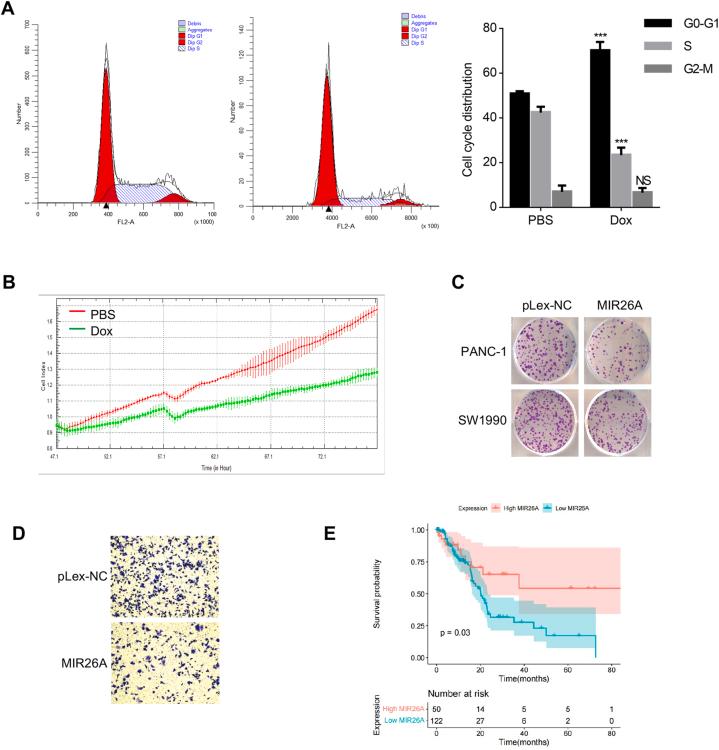 https://cdn.ncbi.nlm.nih.gov/pmc/blobs/7f94/11130661/24583c968feb/gr2.jpg