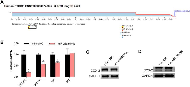 https://cdn.ncbi.nlm.nih.gov/pmc/blobs/7f94/11130661/8896e7475fc9/gr6.jpg