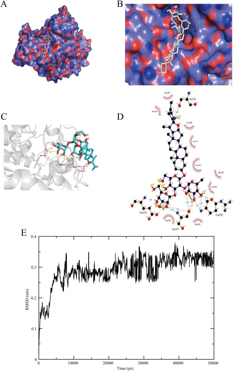 https://cdn.ncbi.nlm.nih.gov/pmc/blobs/7f95/10573390/5792fcae0e52/peerj-11-16195-g006.jpg