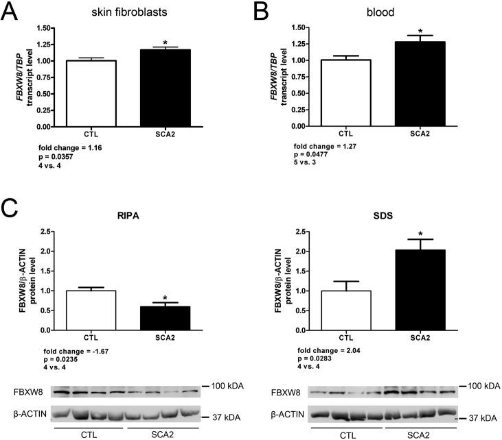 https://cdn.ncbi.nlm.nih.gov/pmc/blobs/7f97/4366354/d143e8316010/pone.0121089.g004.jpg