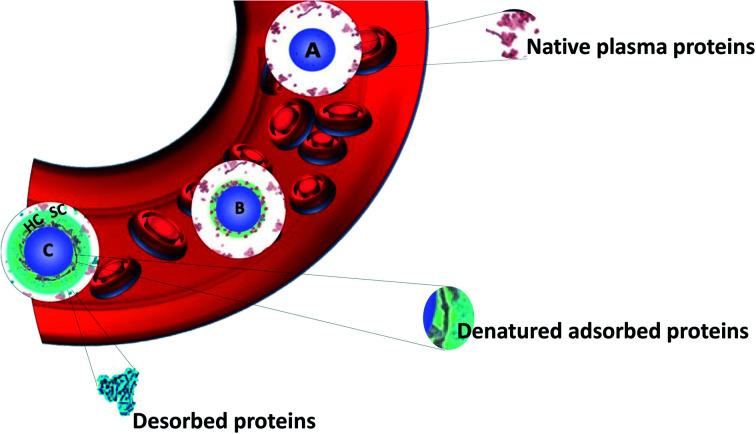 https://cdn.ncbi.nlm.nih.gov/pmc/blobs/7f97/9416870/3b201c62c646/d0na00863j-f1.jpg