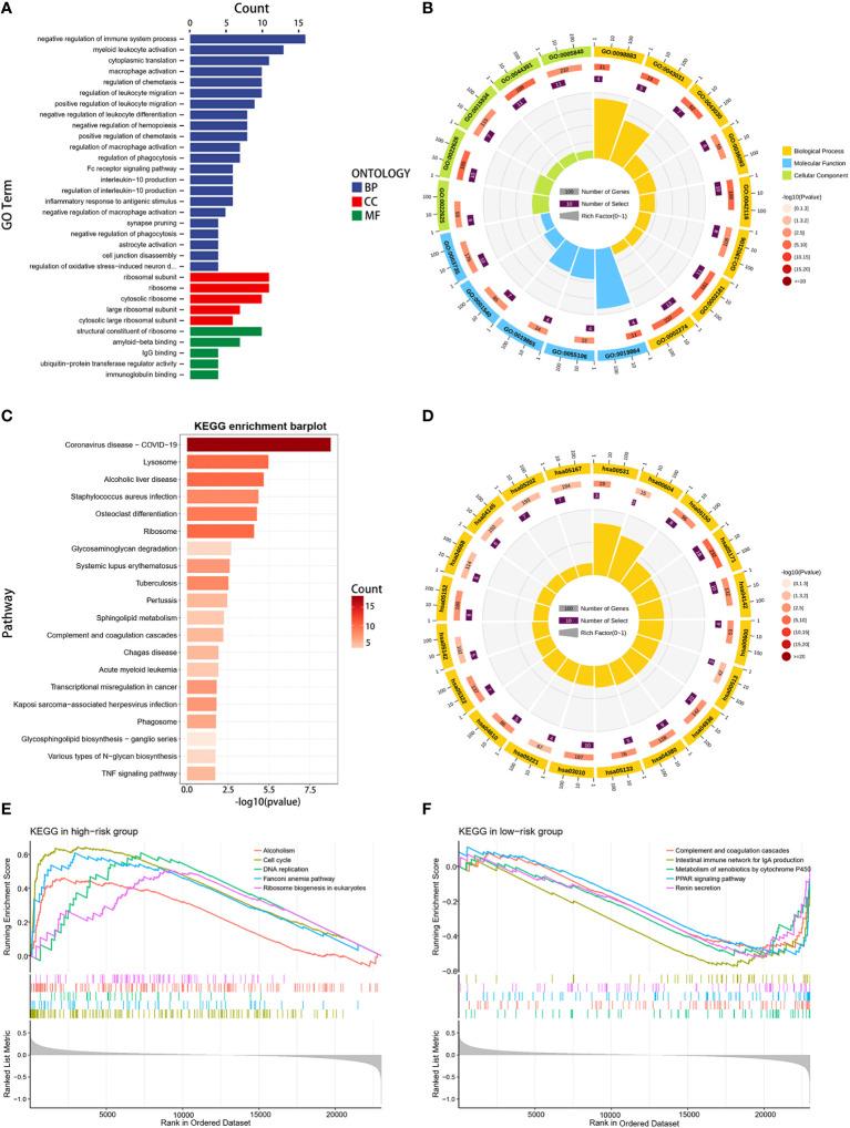 https://cdn.ncbi.nlm.nih.gov/pmc/blobs/7f98/10757638/9595747e60e9/fonc-13-1325452-g006.jpg