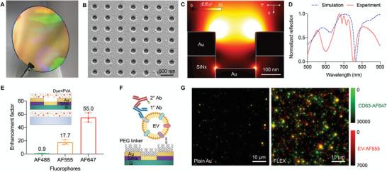 https://cdn.ncbi.nlm.nih.gov/pmc/blobs/7f9a/10015870/f02ad6dec3be/ADVS-10-2205148-g001.jpg