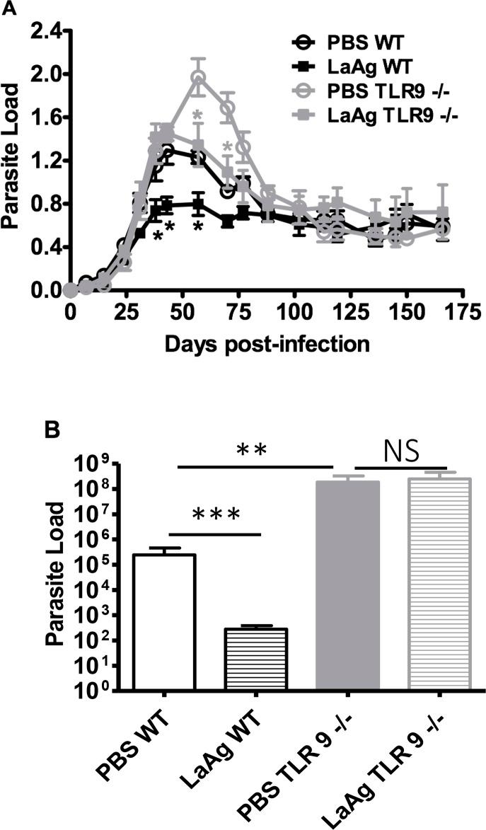 https://cdn.ncbi.nlm.nih.gov/pmc/blobs/7f9a/6405171/d0b5c615065e/pntd.0007146.g010.jpg