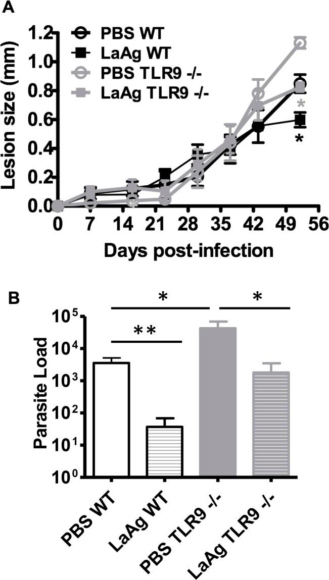 https://cdn.ncbi.nlm.nih.gov/pmc/blobs/7f9a/6405171/d2c040df9871/pntd.0007146.g011.jpg