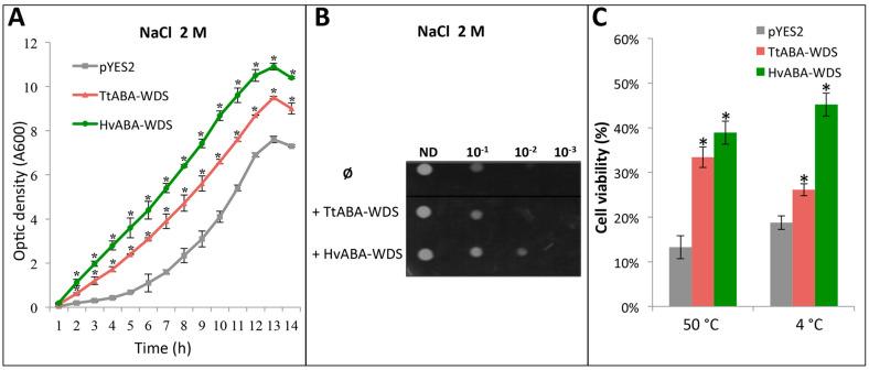 https://cdn.ncbi.nlm.nih.gov/pmc/blobs/7f9a/7956565/5d4084bf3719/ijms-22-02314-g008.jpg