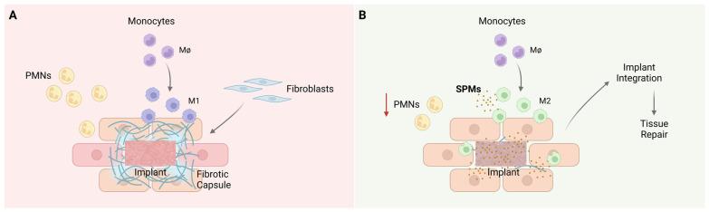 https://cdn.ncbi.nlm.nih.gov/pmc/blobs/7f9c/10145769/55d6b0c0ae71/jfb-14-00223-g003.jpg