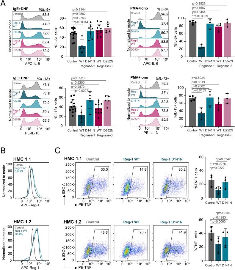 https://cdn.ncbi.nlm.nih.gov/pmc/blobs/7f9c/11147952/293ca9cc04fd/LSA-2024-02784_FigS6.jpg