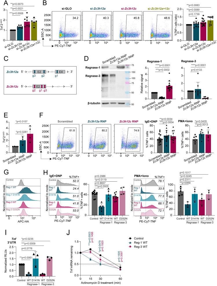https://cdn.ncbi.nlm.nih.gov/pmc/blobs/7f9c/11147952/e172c3a454b5/LSA-2024-02784_Fig3.jpg