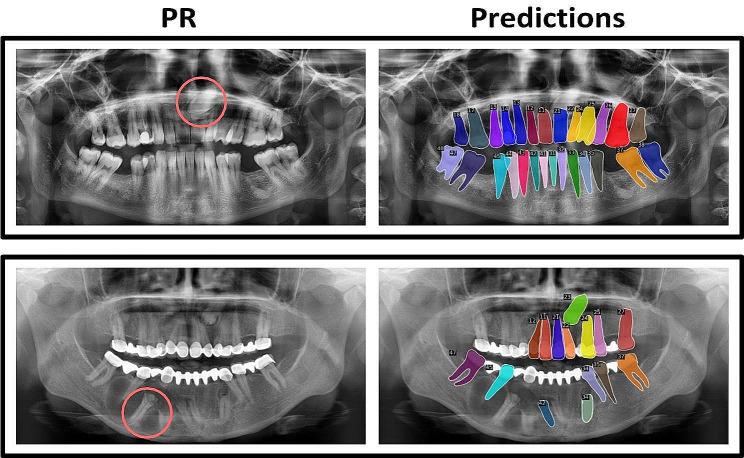 https://cdn.ncbi.nlm.nih.gov/pmc/blobs/7f9e/10964594/e7ef3aaa360d/12903_2024_4129_Fig3_HTML.jpg