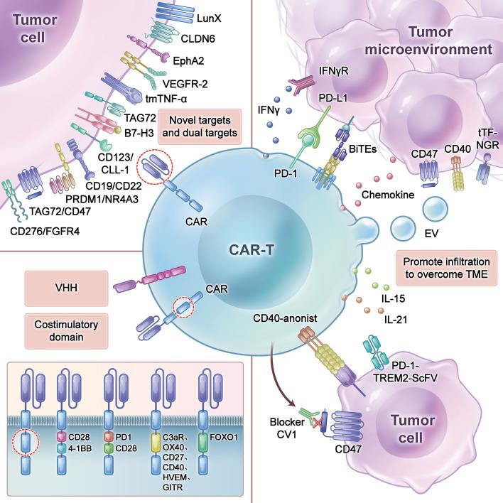 https://cdn.ncbi.nlm.nih.gov/pmc/blobs/7f9f/11539560/0f253bbdb994/13045_2024_1625_Fig3_HTML.jpg