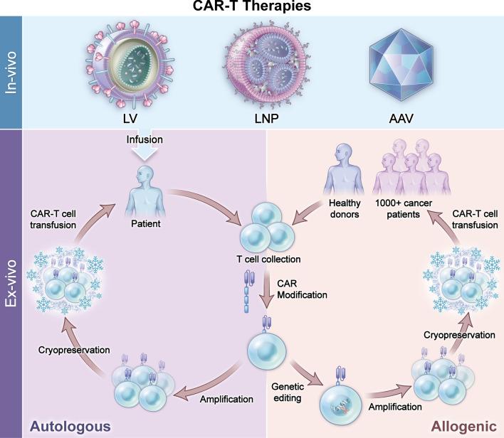 https://cdn.ncbi.nlm.nih.gov/pmc/blobs/7f9f/11539560/6795bff3f80b/13045_2024_1625_Fig7_HTML.jpg
