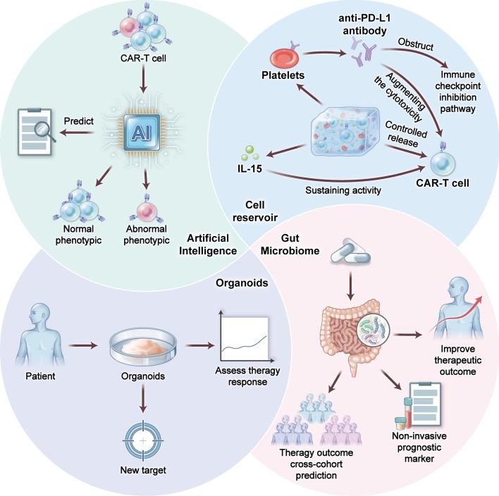 https://cdn.ncbi.nlm.nih.gov/pmc/blobs/7f9f/11539560/941e6b7c1fbd/13045_2024_1625_Fig8_HTML.jpg
