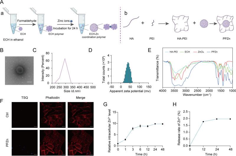 https://cdn.ncbi.nlm.nih.gov/pmc/blobs/7fa0/10373517/44ce13656b1c/nn3c04726_0001.jpg