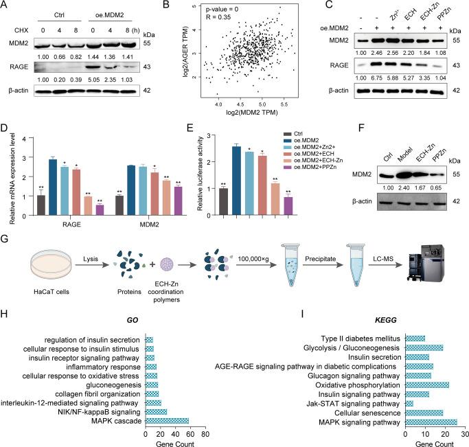 https://cdn.ncbi.nlm.nih.gov/pmc/blobs/7fa0/10373517/b4f0ef6d2080/nn3c04726_0004.jpg