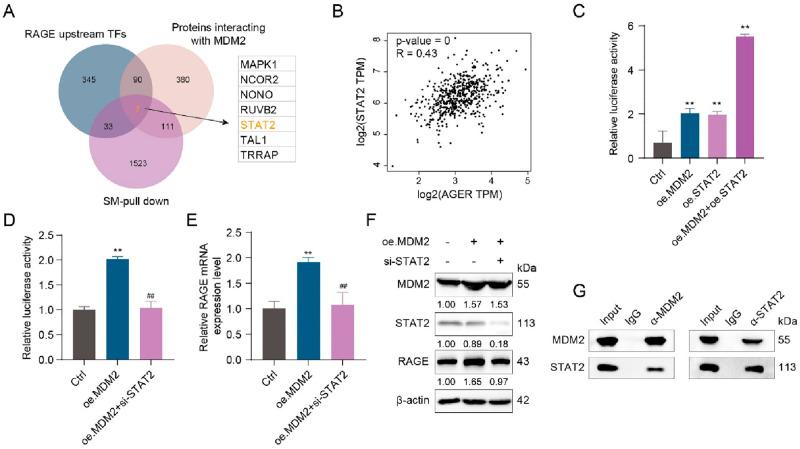 https://cdn.ncbi.nlm.nih.gov/pmc/blobs/7fa0/10373517/e48971261018/nn3c04726_0005.jpg