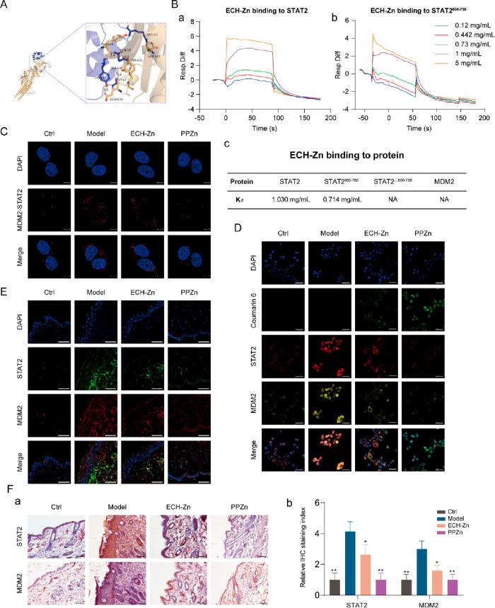 https://cdn.ncbi.nlm.nih.gov/pmc/blobs/7fa0/10373517/f6931d63292d/nn3c04726_0006.jpg