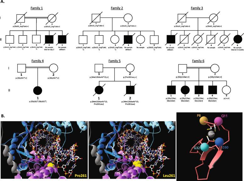 https://cdn.ncbi.nlm.nih.gov/pmc/blobs/7fa0/11995667/a361c25cb4bf/13073_2025_1463_Fig1_HTML.jpg