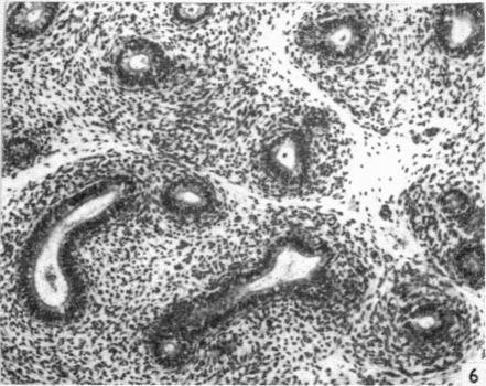 https://cdn.ncbi.nlm.nih.gov/pmc/blobs/7fa0/1244422/28905d789d50/janat00439-0176-f.jpg