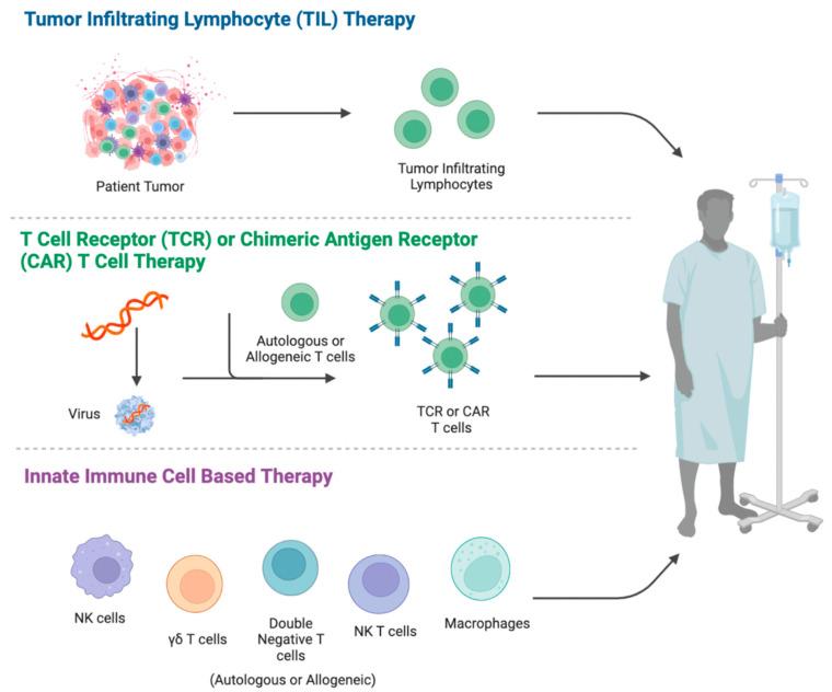 https://cdn.ncbi.nlm.nih.gov/pmc/blobs/7fa1/9817702/2eea1c0a5271/cancers-15-00094-g001.jpg