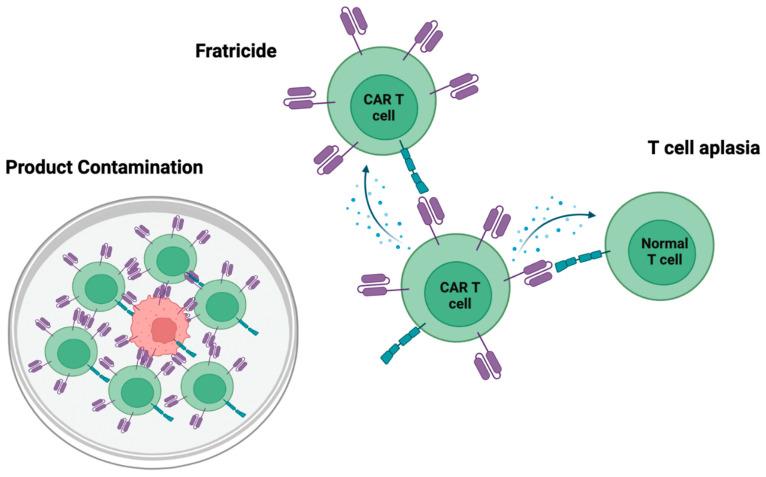 https://cdn.ncbi.nlm.nih.gov/pmc/blobs/7fa1/9817702/ef713213aa28/cancers-15-00094-g002.jpg