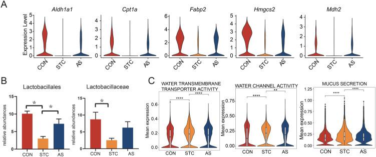 https://cdn.ncbi.nlm.nih.gov/pmc/blobs/7fa7/11293215/6f20b558a17b/bb-2023-10187f9.jpg