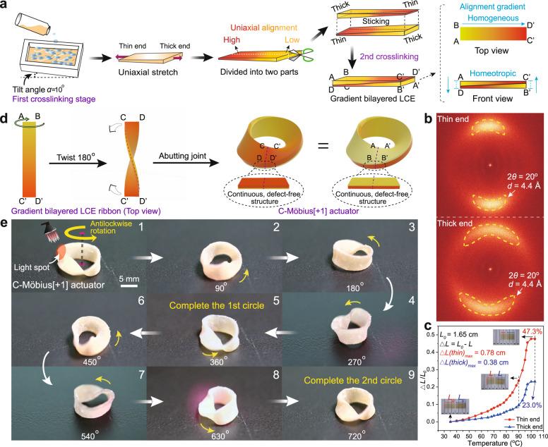 https://cdn.ncbi.nlm.nih.gov/pmc/blobs/7fa7/8058083/9006e360b553/41467_2021_22644_Fig5_HTML.jpg