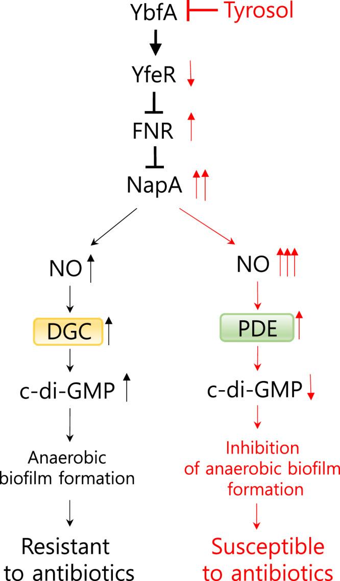https://cdn.ncbi.nlm.nih.gov/pmc/blobs/7faa/11227560/5ae879132ba0/41467_2024_50116_Fig10_HTML.jpg
